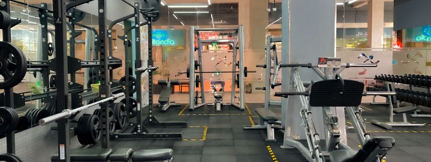 Packs Gimnasios Profesionales