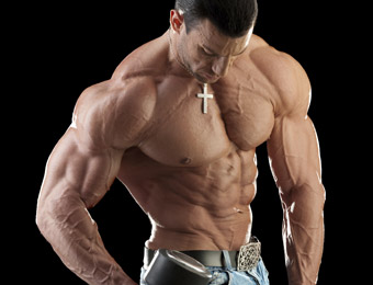 Mega-Mass