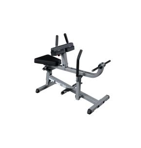 Máquina para pantorrillas sentado Body-Solid GSCR349