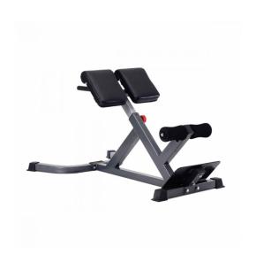 Banco de lumbares Titanium Strength BH45