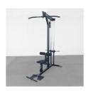 Máquina de dorsales Body-Solid con carga de discos