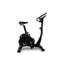 Bicicleta Estática BH Artic Dual