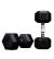 Mancuernas Hexagonales ION fitness (par) (Peso: 12.5kg)