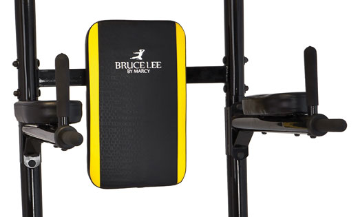 Power Tower Bruce Lee Signature Dips