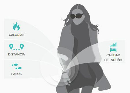 fitbit flex